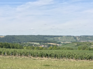AU PAYS DU CHAMPAGNE-aisne