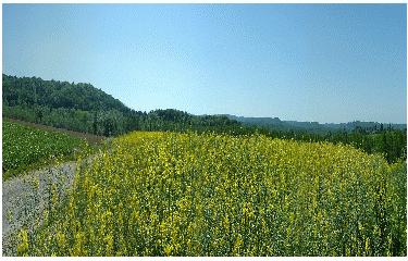 ANIZY-LE-CHATEAU-aisne