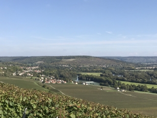 LE COTEAU DES ORCHIDEES-aisne