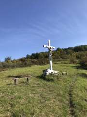 LE COTEAU DES ORCHIDEES-aisne