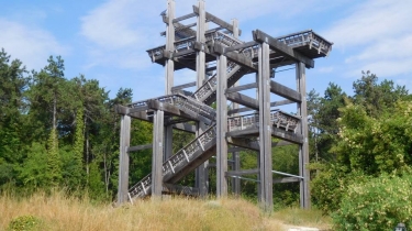 FORET DE VAUCLAIR - TERRES DE BATAILLES-aisne