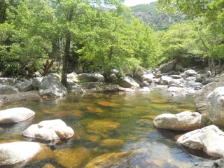GORGES DE LA SPILONCA -corse-du-sud
