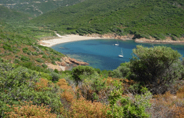 Le sentier du facteur de Girolata-corse-du-sud