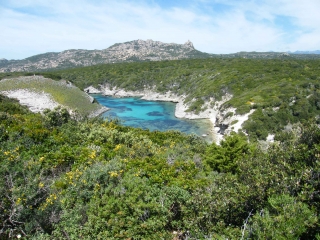 BONIFACIO - MAQUIS ET PLAGES-corse-du-sud