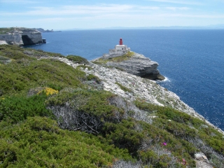 BONIFACIO - MAQUIS ET PLAGES-corse-du-sud