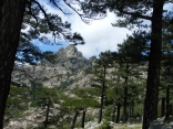COL DE BAVELLA-corse-du-sud