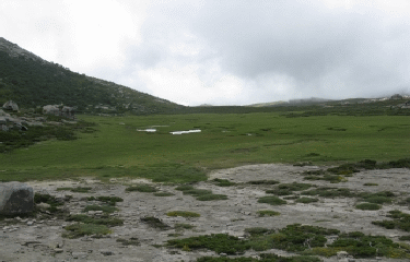 SEJOUR GR 20 SUD - BERGERIES DE C ROCI - REFUGE USCIOLU-corse-du-sud