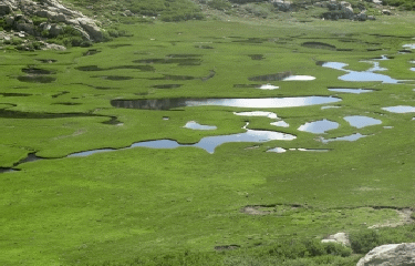 SEJOUR GR20 SUD - GITE DE VERDE - REFUGE CAPANELLE-corse-du-sud