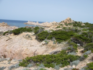 ERMITAGE DE LA TRINITE - CORSE DU SUD-corse-du-sud