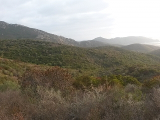 VILLANOVA - TOUR DE FENO-corse-du-sud