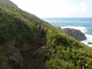 AJACCIO - ILES SANGUINAIRES-corse-du-sud