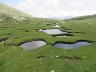 I POZZI-corse-du-sud