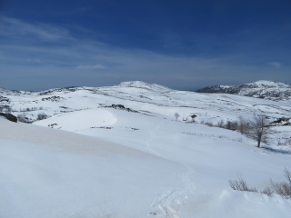 RAQUETTES SUR LE PLATEAU DU CUSCIONU (QUENZA)-corse-du-sud