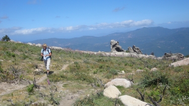 PUNTA DI A VACCA MORTA-corse-du-sud