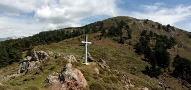 ROSAZIA - MONTE CERVELLU-corse-du-sud