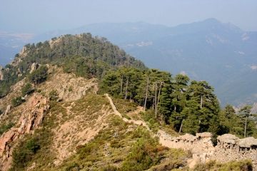 ROSAZIA - MONTE CERVELLU-corse-du-sud