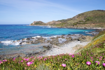LES SANGUINAIRES - LE CHEMIN DES DOUANIERS - PLAGE ST-ANTOINE-corse-du-sud
