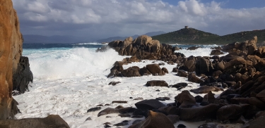 CAMPOMORO-corse-du-sud