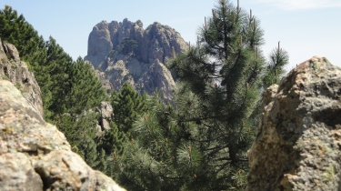 REFUGE PALIRI-corse-du-sud