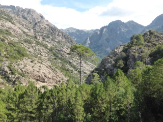 BOUCLE DE FICAGHIOLA-haute-corse