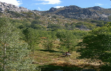GR20 -  TOUTE LA CORSE  -  PARTIE 2-haute-corse