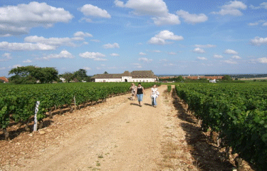 La roche qui pleure-cote-dor-dijon