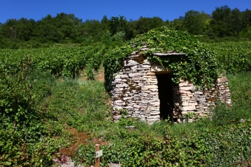 SENTIERS DES CABOTTES A PERNAND-VERGELESSES-cote-dor-dijon