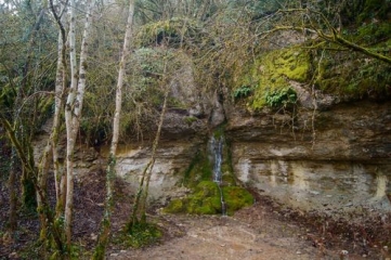 VIERGE DES PINS-cote-dor-dijon
