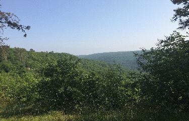 ETAULES-cote-dor-dijon