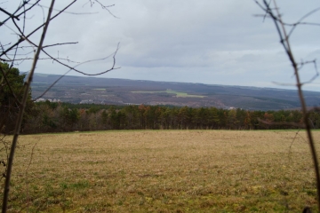 COMBE DE VIC-cote-dor-dijon
