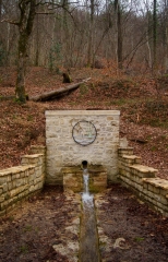 COMBE DE VIC-cote-dor-dijon