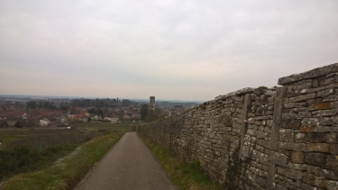 VOLNAY - POMMARD-cote-dor-dijon