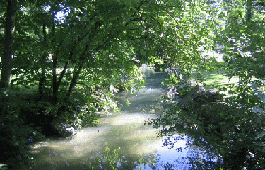 DIJON-cote-dor-dijon