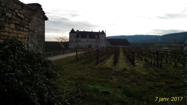 CLOS VOUGEOT ET CHAMBOLLE-MUSIGNY-cote-dor-dijon