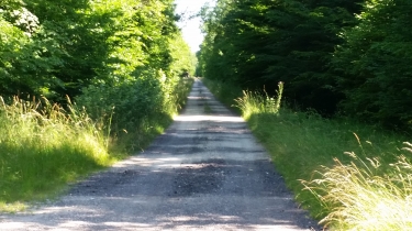 ECHIGEY - DANS LES BOIS-cote-dor-dijon