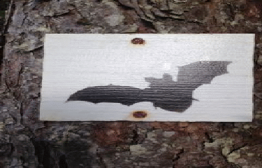 VILLERS-LA-FAYE - SENTIER DES CHAUVES SOURIS-cote-dor-dijon