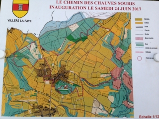 VILLERS-LA-FAYE - SENTIER DES CHAUVES SOURIS-cote-dor-dijon