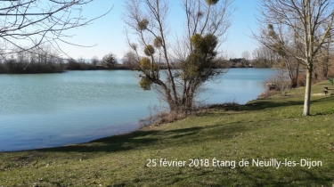 LES RIVES D OSCARA-cote-dor-dijon