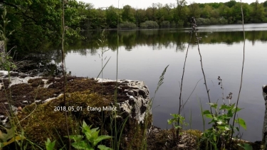 BOIS DE FRESQUES-cote-dor-dijon