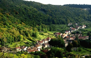 SENTIER DU CORNOUILLER-cote-dor-dijon