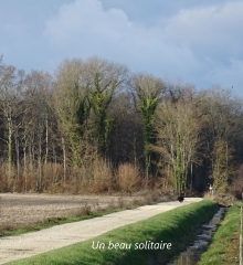 LONGECOURT-cote-dor-dijon