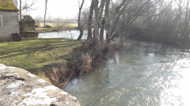 FONTENELLE-cote-dor-dijon