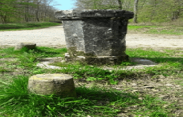 RENEVE - LA VEUVE COUDERC-cote-dor-dijon