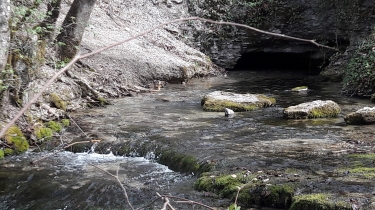 LA COQUILLE FAIT SON CIRQ -cote-dor-dijon