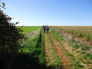 LE BOIS MESSIEUR-cote-dor-dijon