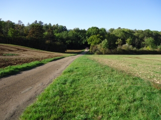 LE BOIS MESSIEUR-cote-dor-dijon