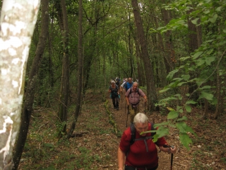 LE BOIS DES FRANCS-cote-dor-dijon