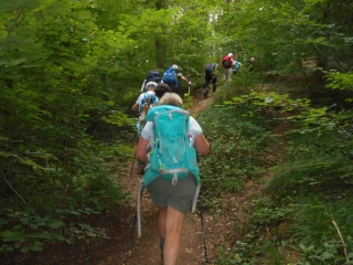 LE BOIS DES FRANCS-cote-dor-dijon