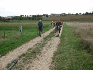 DE VIGNES EN VIERGE-cote-dor-dijon