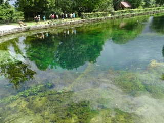 LE CREUX BLEU-cote-dor-dijon
